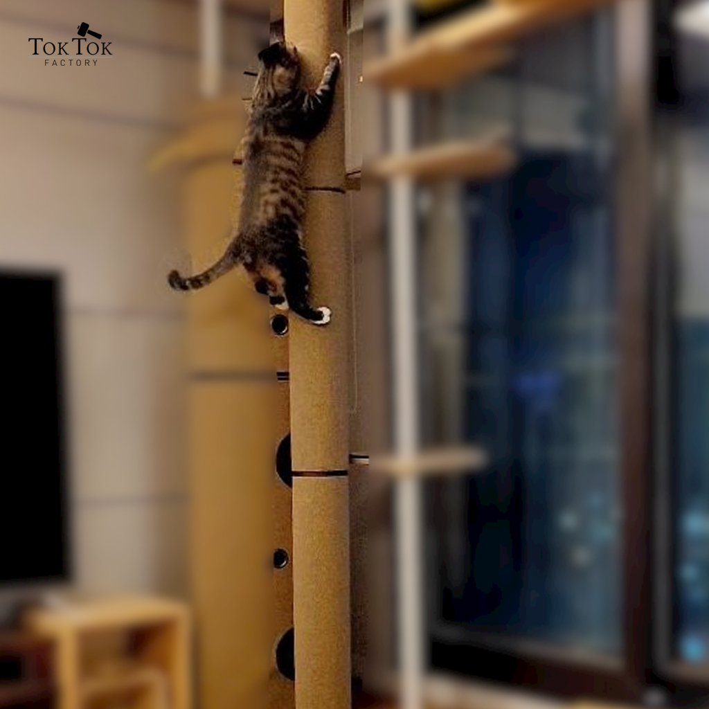 고양이 기둥 스크래쳐15 세트 - 톡톡팩토리 캣폴 캣타워